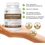WELLBODY OEM/ODM Private Label Factory Supply Lions Mane Mushroom Capsules 100% Mushroom Extract Help Build Focus and Energy