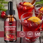 WELLBODY OEM/ODM Private Label Factory Supply Cranberry Extract Drops Support Skin Hair and Nails Health Keep Body Health