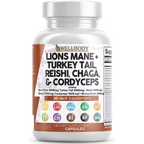 WELLBODY Lion's Mane Mushroom Capsules 20:1 Factory Supply OEM/ODM Private Label Supports Adult Body Health