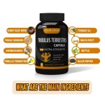 WELLBODY Private Label Factory Supply Pure High Quality Tribulus Terrestris Capsules for Man Woman Test Boost Max Capsule