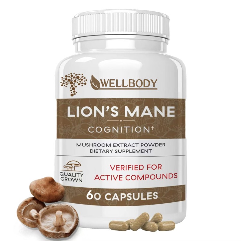 WELLBODY OEM/ODM Private Label Factory Supply Lions Mane Mushroom Capsules 100% Mushroom Extract Help Build Focus and Energy