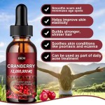 WELLBODY OEM/ODM Private Label Factory Supply Cranberry Extract Drops Support Skin Hair and Nails Health Keep Body Health