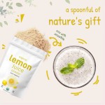 WELLBODY Organic Lemon Juice Powder OEM/ODM Factory Supply Rich in Vitamin C for Body Health for Adults & Pregnant Women