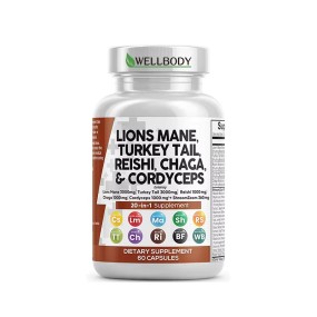 WELLBODY OEM/ODM Private Label Factory Supply Lions Mane Mushroom Capsules 20 in 1 Mushroom Capsules Support Body Health