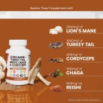 WELLBODY Lion's Mane Mushroom Capsules 20:1 Factory Supply OEM/ODM Private Label Supports Adult Body Health