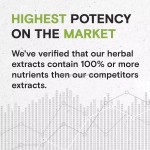 WELLBODY OEM/ODM  Private Label Wholesale Price Saw Palmetto Extract for Hair Health Saw Palmetto Oil Saw Palmetto Liquid