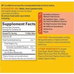 WELLBODY Private Label Factory Supply Choline Gummies 300mg Support Nervous and Brain System Nature Made Choline Supplement