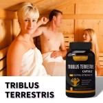 WELLBODY Private Label Factory Supply Pure High Quality Tribulus Terrestris Capsules for Man Woman Test Boost Max Capsule