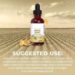 WELLBODY OEM/ODM Private Label Factory Supply Maca Root Liquid Drops for Men and Women Sexual Black Maca Support Energy