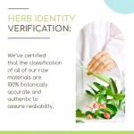 Wellbody OEM/ODM Private Label Factory Supply Broccoli B120 Herbal Extract Concentrated Natural Liquid Drops Safe Pregnant Women