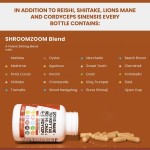 WELLBODY Lion's Mane Mushroom Capsules 20:1 Factory Supply OEM/ODM Private Label Supports Adult Body Health