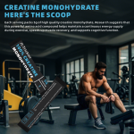 Wellbody 100% Creatine Monohydrate Powder Packets Creatine Single Serve Packets Fine Micronized Creatine Powder for Muscle