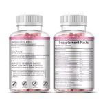 WELLBODY OEM/ODM Private Label Halal Organic Adult Multivitamins Gummies Factory Supply for Vitamin Support for Pregnant Women