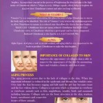 WELLBODY L-Glutathione Plus Skin Whitening Collagen Supplement OEM/ODM Private Label Factory Supply Antioxidant Pregnant Women