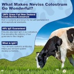 WELLBODY OEM/ODM Private Label Factory Supply Natural Health Products Bovine Colostrum Milk Powder Gummies for Pregnant Women