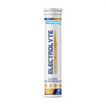 Wellbody OEM/ODM Private Label Factory Supply Halal Natural Organic Hydro Electrolyte Vitamin Effervescent Tablets