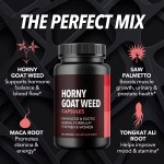 WELLBODY OEM/ODM Private Label Factory Supply Horny Goat Weed Capsules Natrual Plant Extract Support Men and Women Happiness