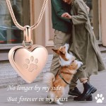 宠物骨灰盒项链生产厂家 - 爪印心形纪念吊坠