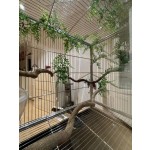 鸟笼生产厂家 - 豪华定制铁艺双门亚克力