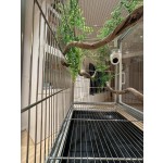 鸟笼生产厂家 - 豪华定制铁艺双门亚克力