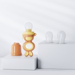 Baby Feeder Factory - Food Fruit Feeder Pacifier