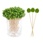Disposable Bamboo Picks Factory - OEM Tropical Leaves Food Toothpicks