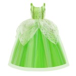 Fairy Dress Manufacturer - Birthday Party Fairy