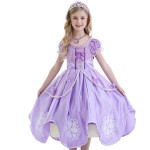 Princess Costume Supplier - Birthday Party Dress