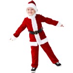 Children Costume Supplier - Children's Deluxe Santa
