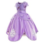 Princess Costume Supplier - Birthday Party Dress