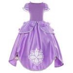 Princess Costume Supplier - Birthday Party Dress