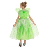 Fairy Dress Manufacturer - Birthday Party Fairy