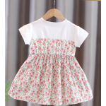 Baby Dress Factory - New Baby Girl Chiffon