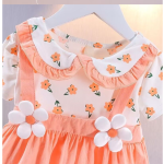 Baby Dress Factory - 2024 Summer Princess Dress