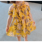 Girls Dress Manufacturer - Summer New Style Children