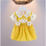 Baby Dress Factory - 2024 Summer Princess Dress