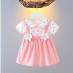 Baby Dress Factory - 2024 Summer Princess Dress