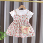 Baby Dress Factory - New Baby Girl Chiffon