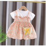Baby Dress Factory - New Baby Girl Chiffon