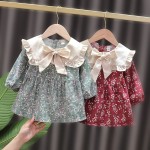 Baby Dress Supplier - Spring Autumn Korean Style