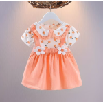 Baby Dress Factory - 2024 Summer Princess Dress