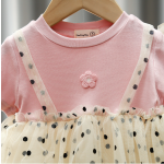 Princess Skirt Supplier - New Style Western Princess