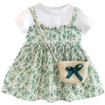 Baby Dress Factory - New Baby Girl Chiffon