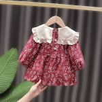 Baby Dress Supplier - Spring Autumn Korean Style
