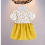 Baby Dress Factory - 2024 Summer Princess Dress