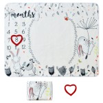 Milestone Blanket Supplier - Baby Digital Month