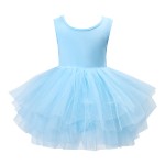 舞蹈蓬蓬裙套装生产厂家-公主芭蕾无袖豹纹薄纱