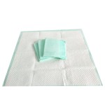 Dignity Sheet Underpad - Non Woven Fabric High Absorbency