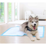 笼垫生产厂家 - 高吸收一次性宠物用品