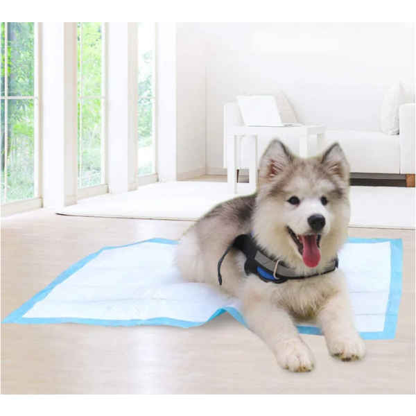 笼垫生产厂家 - 高吸收一次性宠物用品